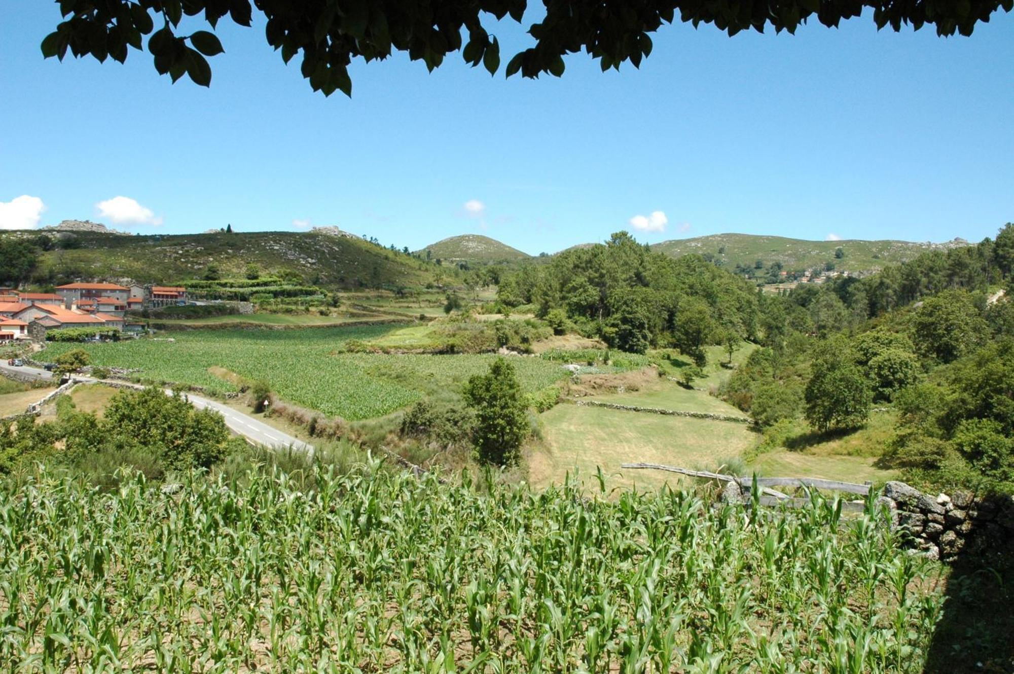 منزل الضيف تيراس دي بورو  في Casa De Campo Monte Abades المظهر الخارجي الصورة